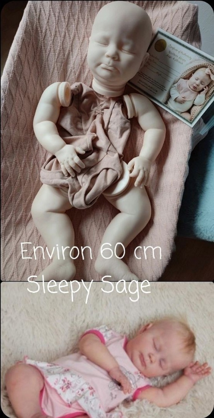 Sleepy Sage environ 60 cm