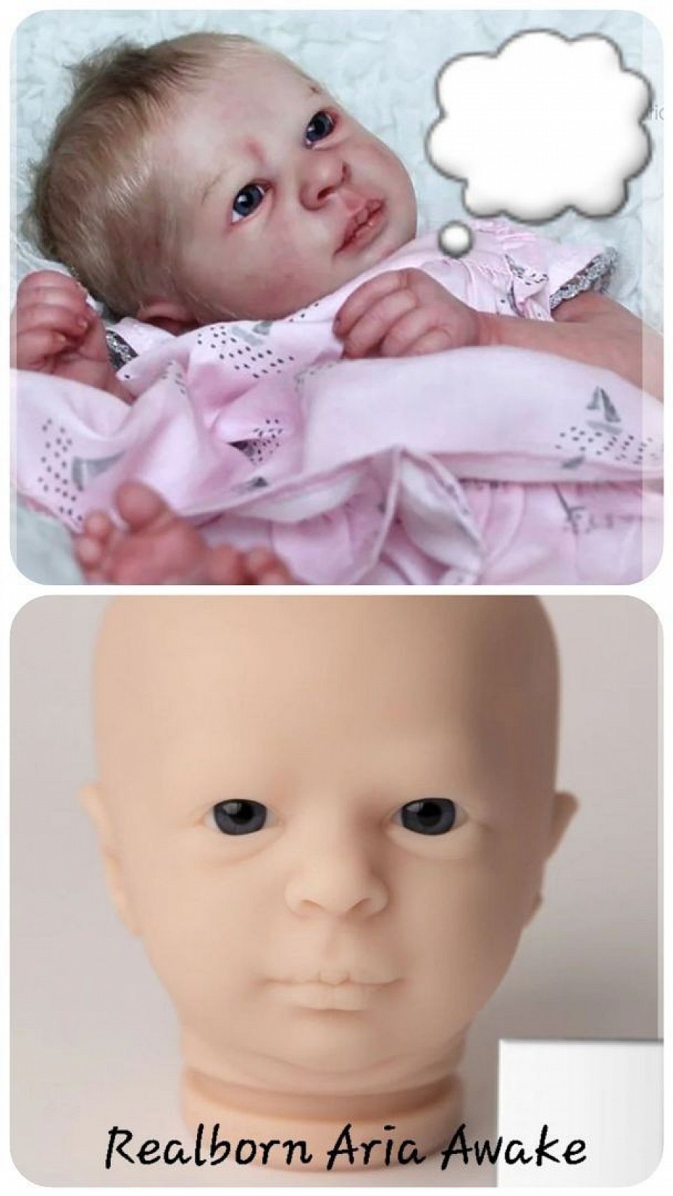 Realborn Aria Awake (en cours )