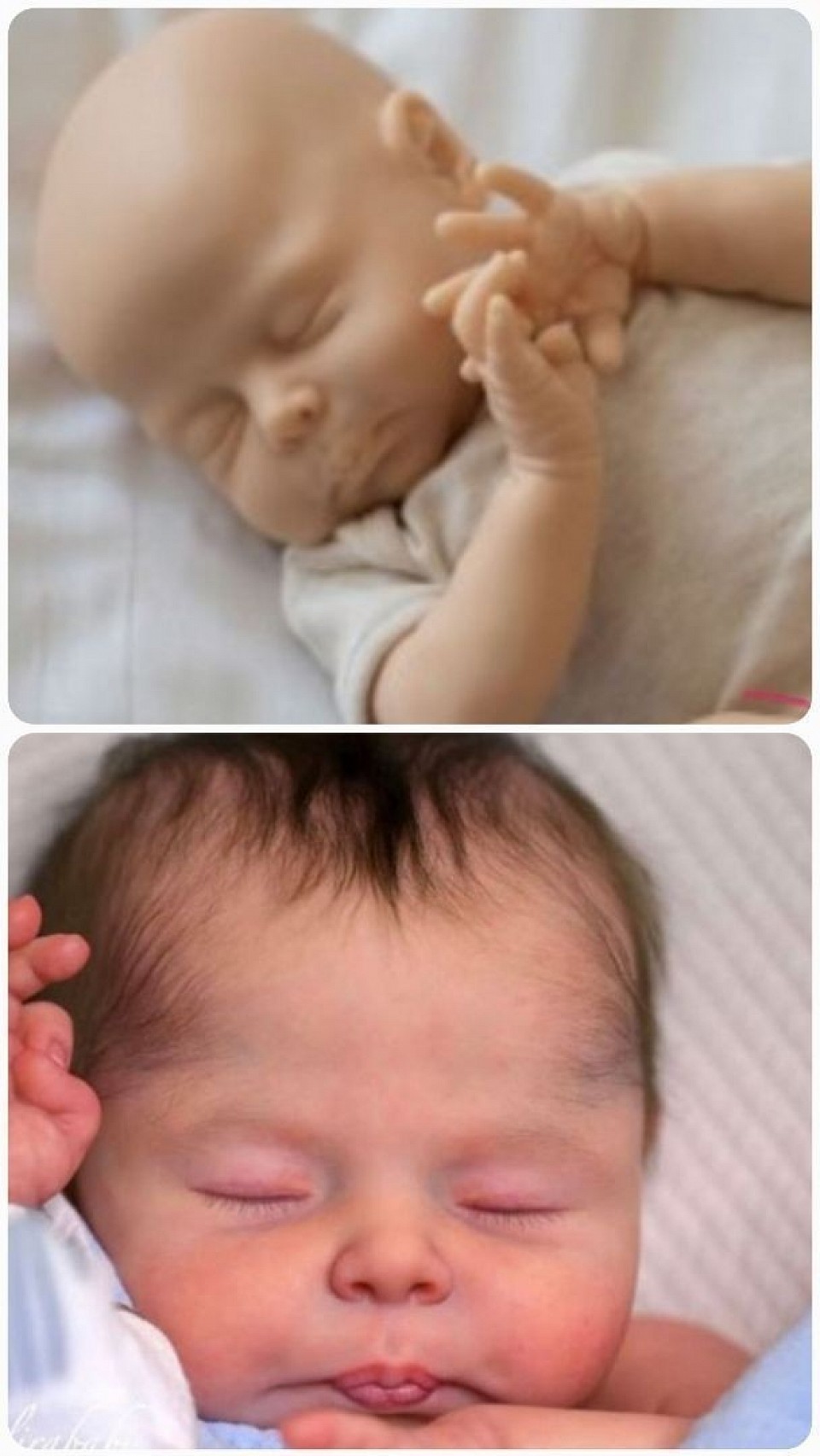 Kit CHRISTOPHER de Nikki Johnston (Environ 53 cm)