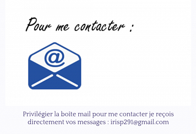 Voici votre reborneuse dans son atelier rempli de frimousses