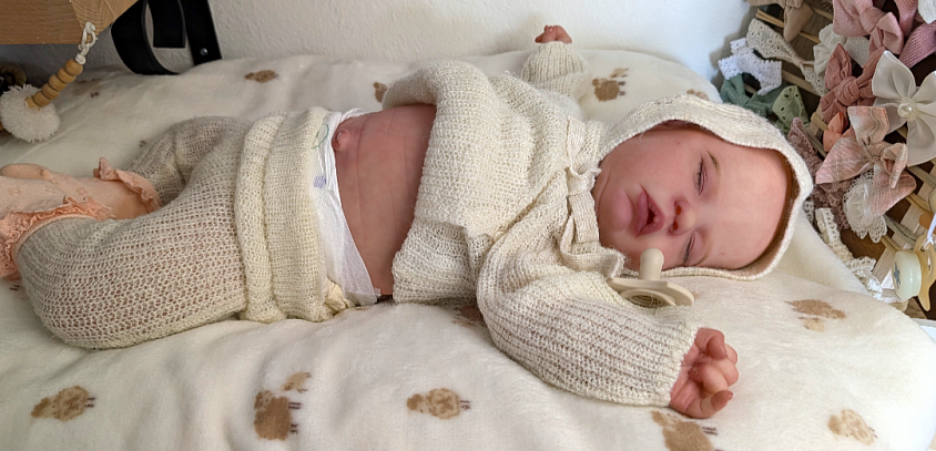 Bébé reborn du kit Evelyn en cours ,peinture terminée ,plus que de jolis cheveux à implanter  ( Elle sera disponible)