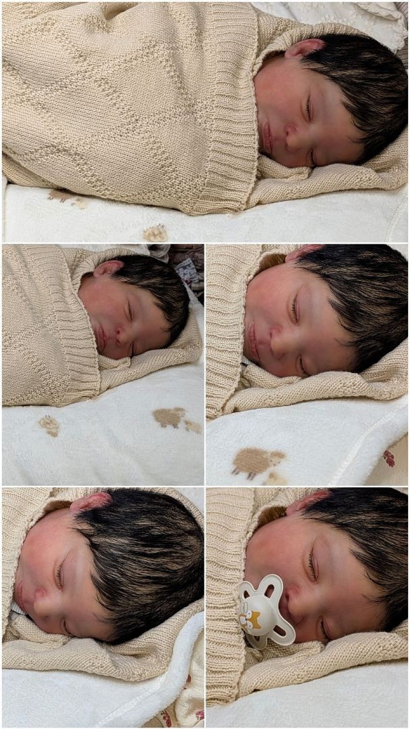 🌸Bébé Reborn du kit Realborn Sage Asleep,Authentique avec certificat d'authenticité.  Création de base de Rosa's Reborn Dolls ,mais elle est arrivée avec une couleur terne ,alors je lui ai redonné des couleurs ,un vernisssage,et un bon lestage neuf et plus réaliste,de ce qu'il était  !         🌸Reborn-fabrique-a-reve 🌸  C'est un bébé reborn d'un réalisme exceptionnel. Sa taille,son poids sont parfaitement réalistes , environ 50 cm pour 3kg100,donnant réellement l'impression de porter un vrai bébé .  🌸Superbes détails : veines,marbrures,rougeurs,griffure, plaque ventrale ...  📋Travail de très grande qualité .  🐤Elle prend des tétines aimantées. Vernis mat ultime pour zéro brillance !  Beau rooting,cheveux incroyable !  Ses membres sont entiers et son corps est en tissus de couleur chair .  🧴Une plaquette odeur a été glissé à l'intérieur de son corps en tissus ,pour sentir bon le bébé.   👩‍🍼Elle porte des vêtements en 1-3 mois selon les marques ,taille d'un vrai bébé .  🎁Elle viendra avec un joli trousseau de mon choix ,qui n'inclus pas la tenue des photos .  🌸Petites informations :  Ce n'est pas un silicone !  Je ne souhaite aucun échange !  Je ne vends pas aux profils sans évaluations !   📦L'envoi sera rapide ,très soigné et parfaitement protégé,pour qu'elle arrive dans d'excellentes conditions.  Si vous avez la moindre questions n'hésitez pas à me contacter ,je vous répondrai avec plaisir 🤗  Au plaisir 🌸Elle est au prix de 500€ HFDP Contact par mail